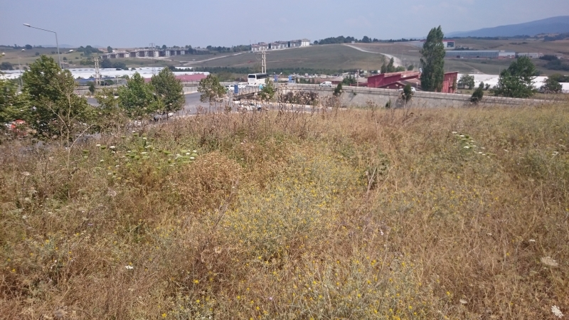 Bölge Trafik Denetleme Şube Müdürlüğü İçin İlk Adım