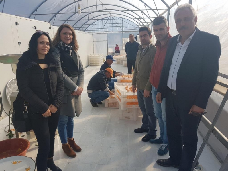 Yavaş Şehir (Slow City) Ar-Ge Projemiz Kapsamında İzmir Seferihisar Gezisi