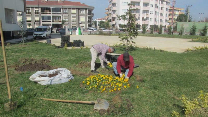 Müdürlük Hizmet Binası Bahçesine Çiçek ve Ağaç Dikimi