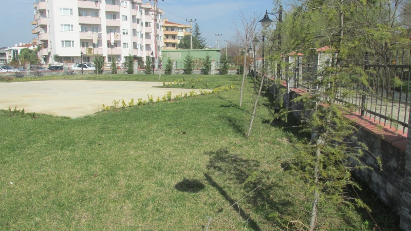 Müdürlük Hizmet Binası Bahçesine Çiçek ve Ağaç Dikimi