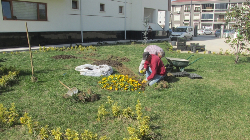 Müdürlük Hizmet Binası Bahçesine Çiçek ve Ağaç Dikimi