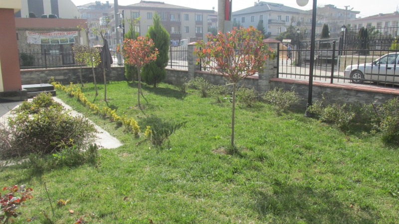 Müdürlük Hizmet Binası Bahçesine Çiçek ve Ağaç Dikimi