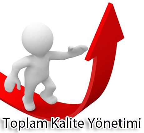 Kalite Yönetim Sistemi ile İç Kontrol Uygulamaları Çalışmaları 