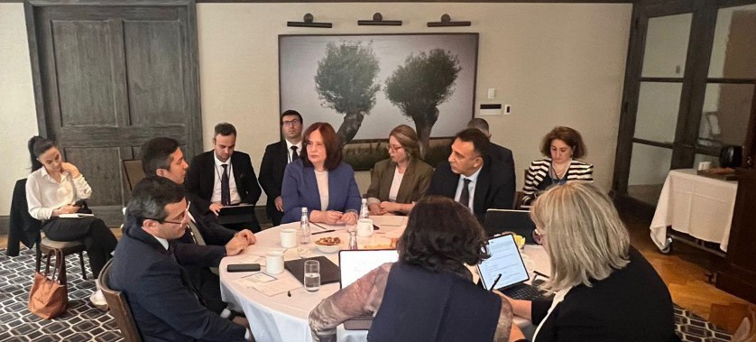 Bakan Yardımcımız Sayın Fatma Varank, Azerbaycan ve Avustralya Heyetleri ile Görüştü