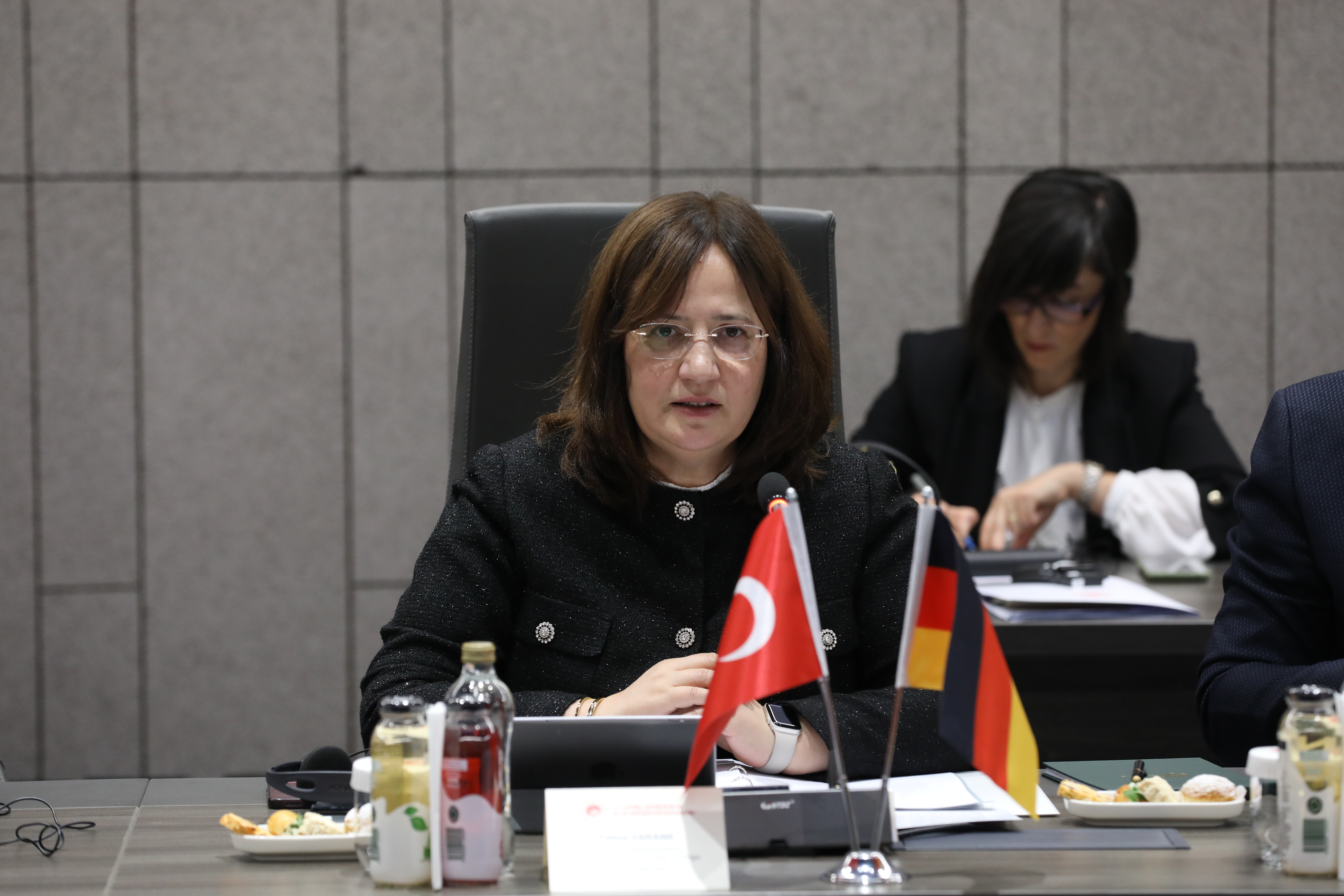 Türk-Alman İklim ve Çevre Yürütme Kurulu’nun İkinci Toplantısı Gerçekleşti
