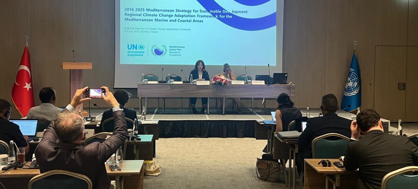 Deputy Minister Fatma Varank Spoke at the Climate Change Adaptation Document Update Meeting