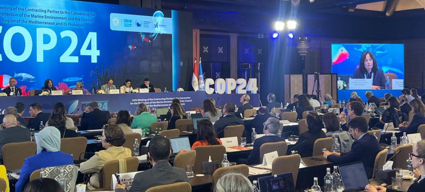 Turkey Strengthens Its Leadership in Mediterranean Climate Diplomacy