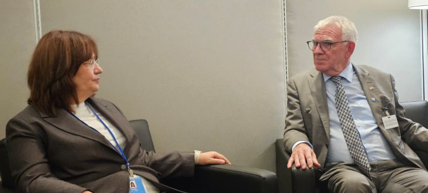 Türkiye Ready to Cooperate with Germany in the COP31 Process
