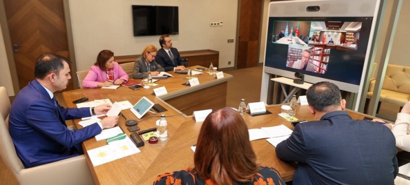 Türkiye’s Diplomatic Efforts for COP31 Candidacy Continue