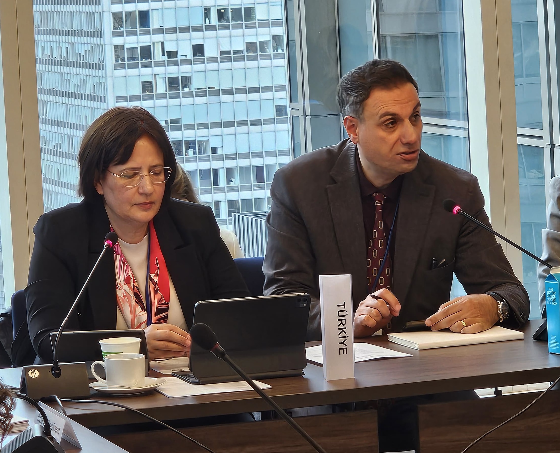 Deputy Minister of Environment, Urbanization and Climate Change Ms. Fatma Varank Participated in the High-Level Energy Transition Dialogue Meeting