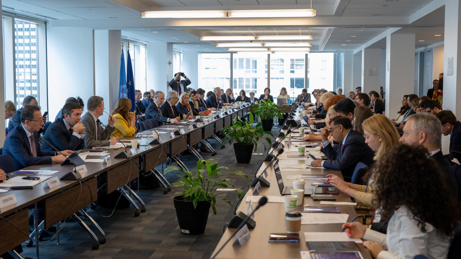 Deputy Minister of Environment, Urbanization and Climate Change Ms. Fatma Varank Participated in the High-Level Energy Transition Dialogue Meeting