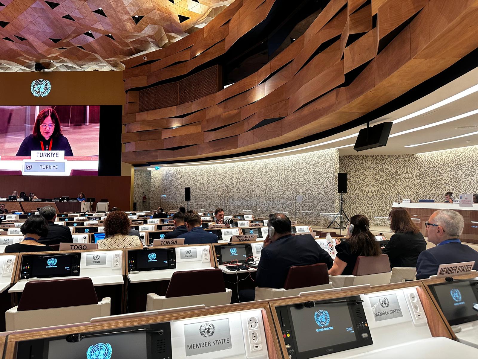 Deputy Minister Fatma Varank Highlights Fight Against Plastic Pollution in Geneva