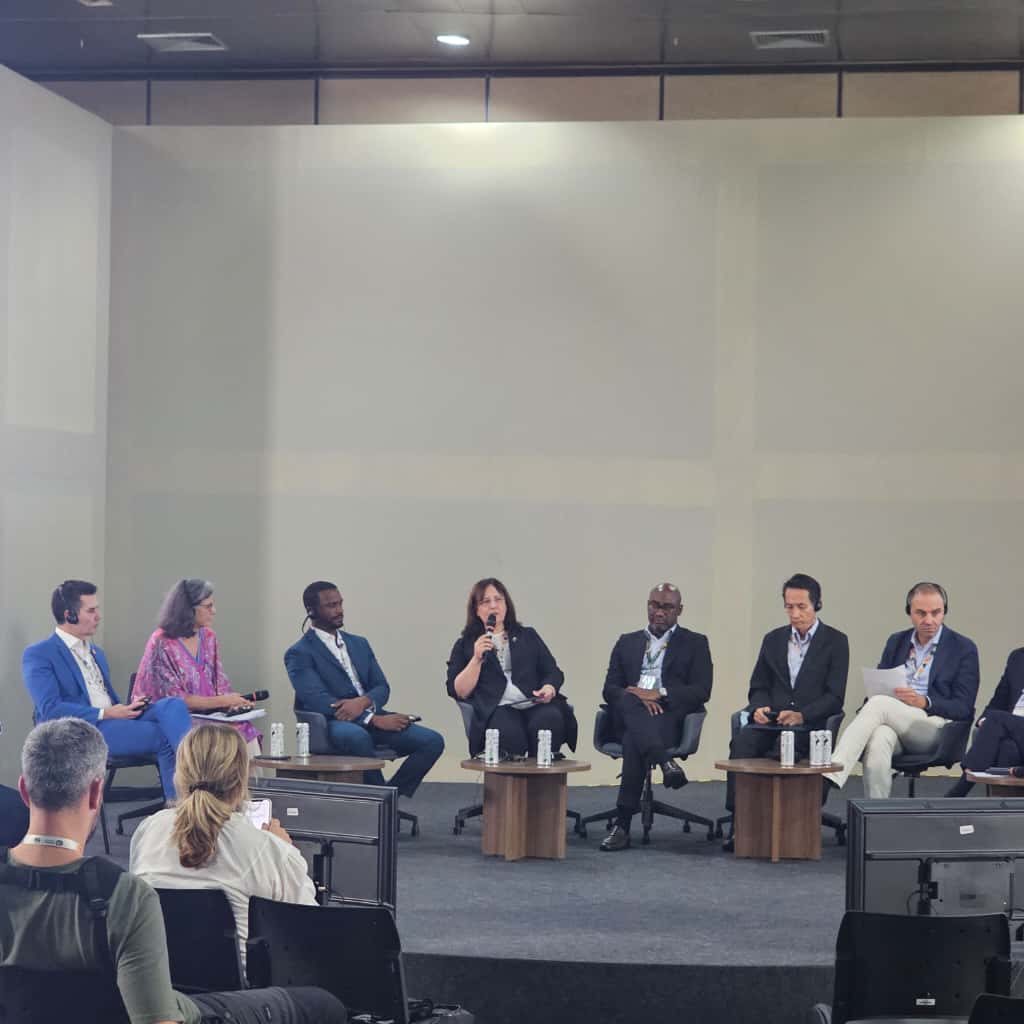 Deputy Minister Ms. Fatma Varank Attends COP30 Closing Session