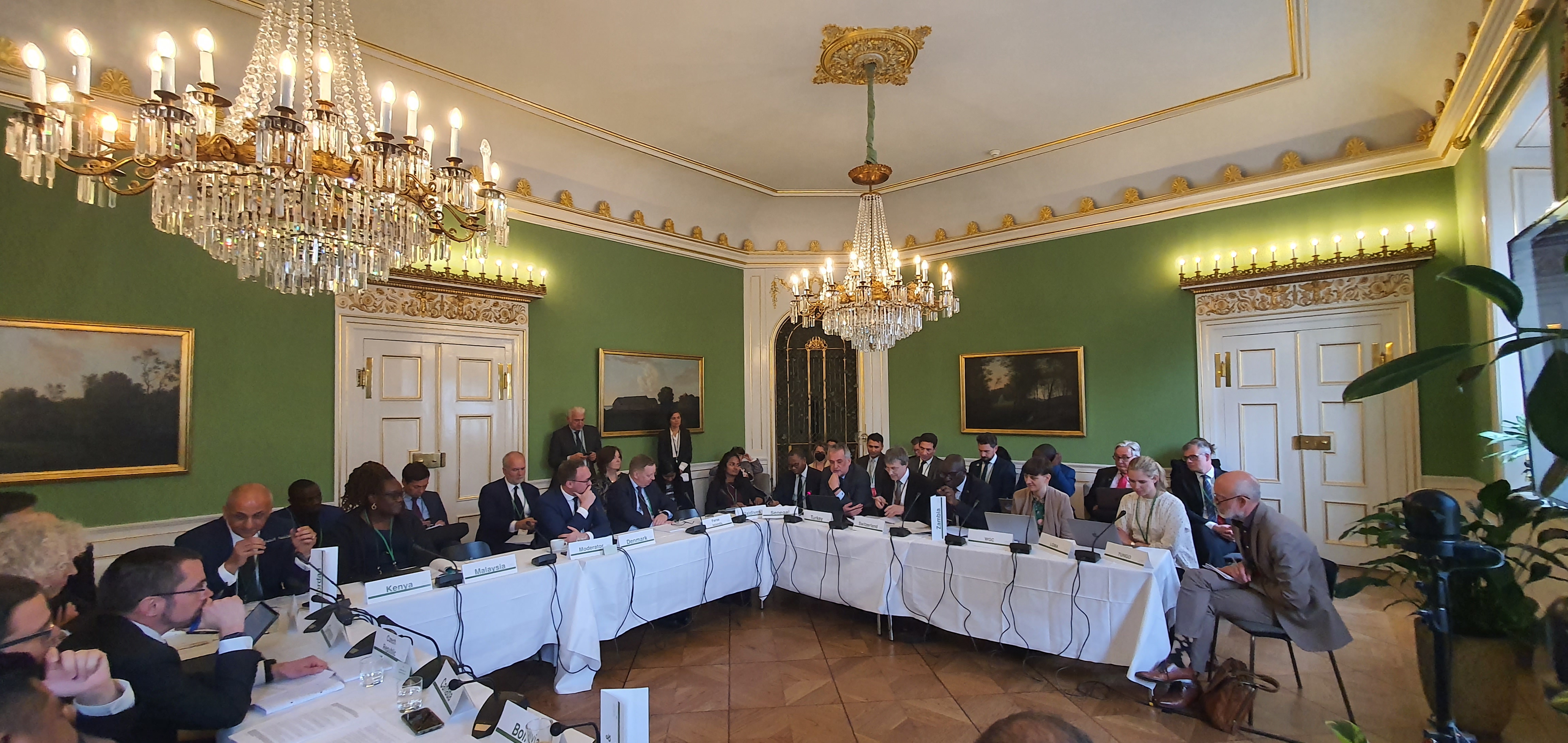 Implementation of Climate Actions Discussed in Copenhagen