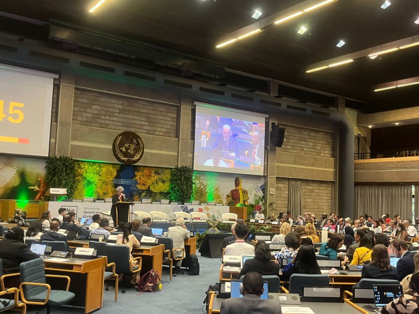 Türkiye Showcased High-Level Representation and Intensive Climate Diplomacy at UNEA-7