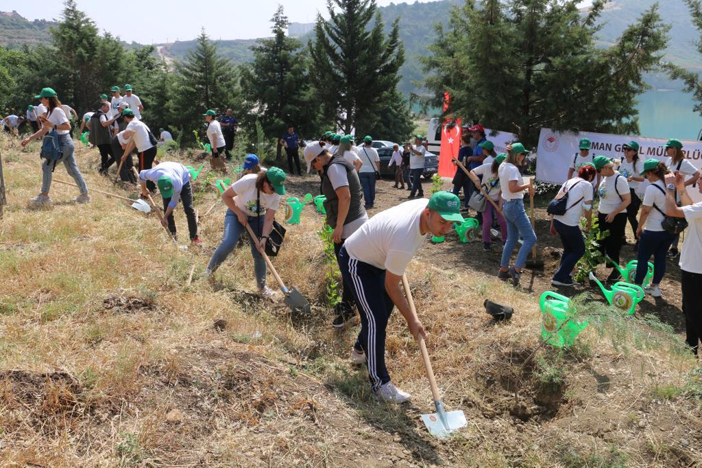 Türkiye Çevre Haftasını Kapsayan Etkinlikler Menekşe Köyünde Fidan Dikimi ile Başladı.