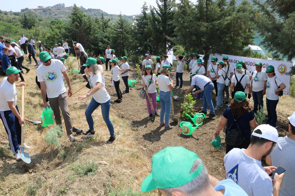 Türkiye Çevre Haftasını Kapsayan Etkinlikler Menekşe Köyünde Fidan Dikimi ile Başladı.