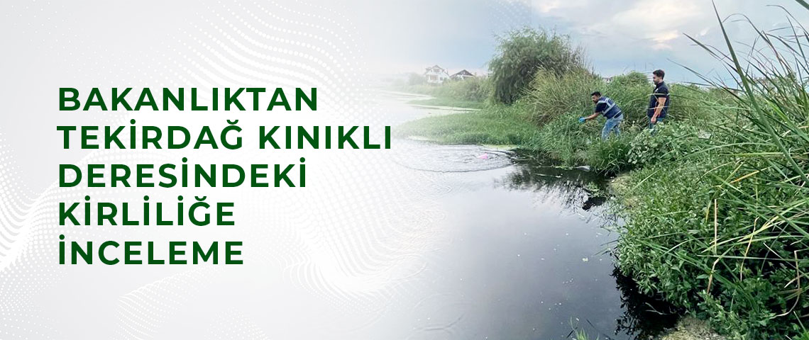 TEKİRDAĞ KINIKLI DERESİNDEKİ KİRLİLİĞE İNCELEME