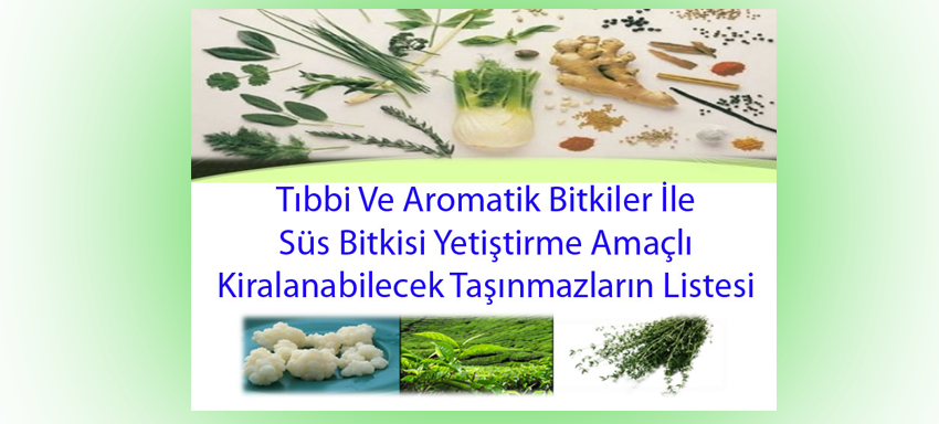 Tıbbi Ve Aromatik Bitkiler İle Süs Bitkisi Yetiştirme Amaçlı Kiralanabilecek Taşınmazların listesi