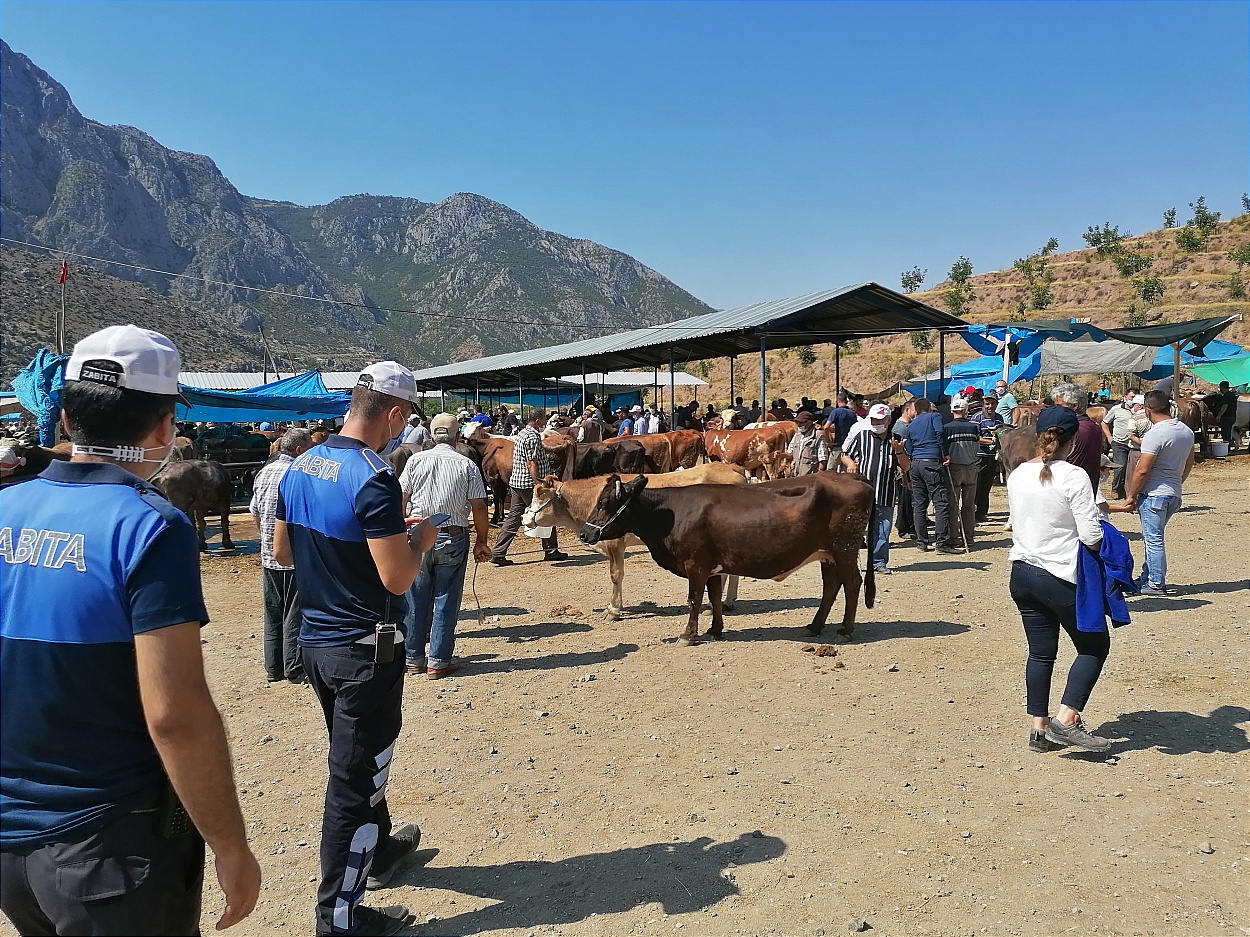 2020 Yılı Kurban Hizmetleri Ve Denetimi