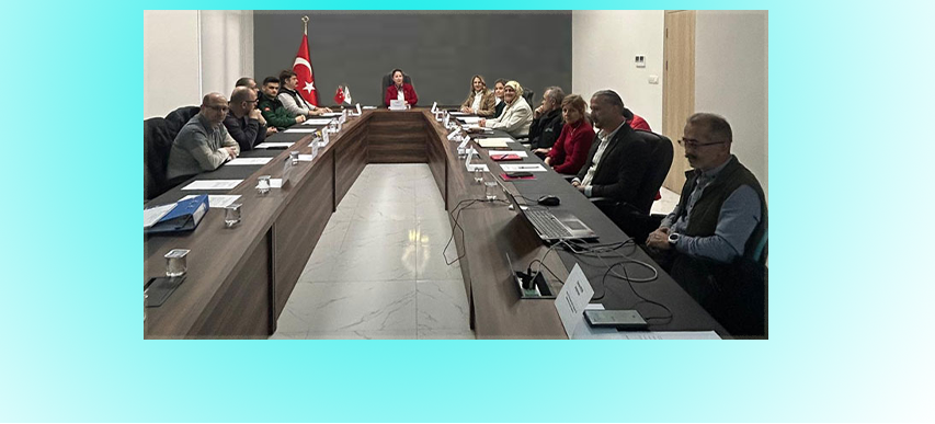 Amasya Potansiyel Sit Alanları Değerlendirme Ekibi, Derinöz Kanyonu İçin Toplandı