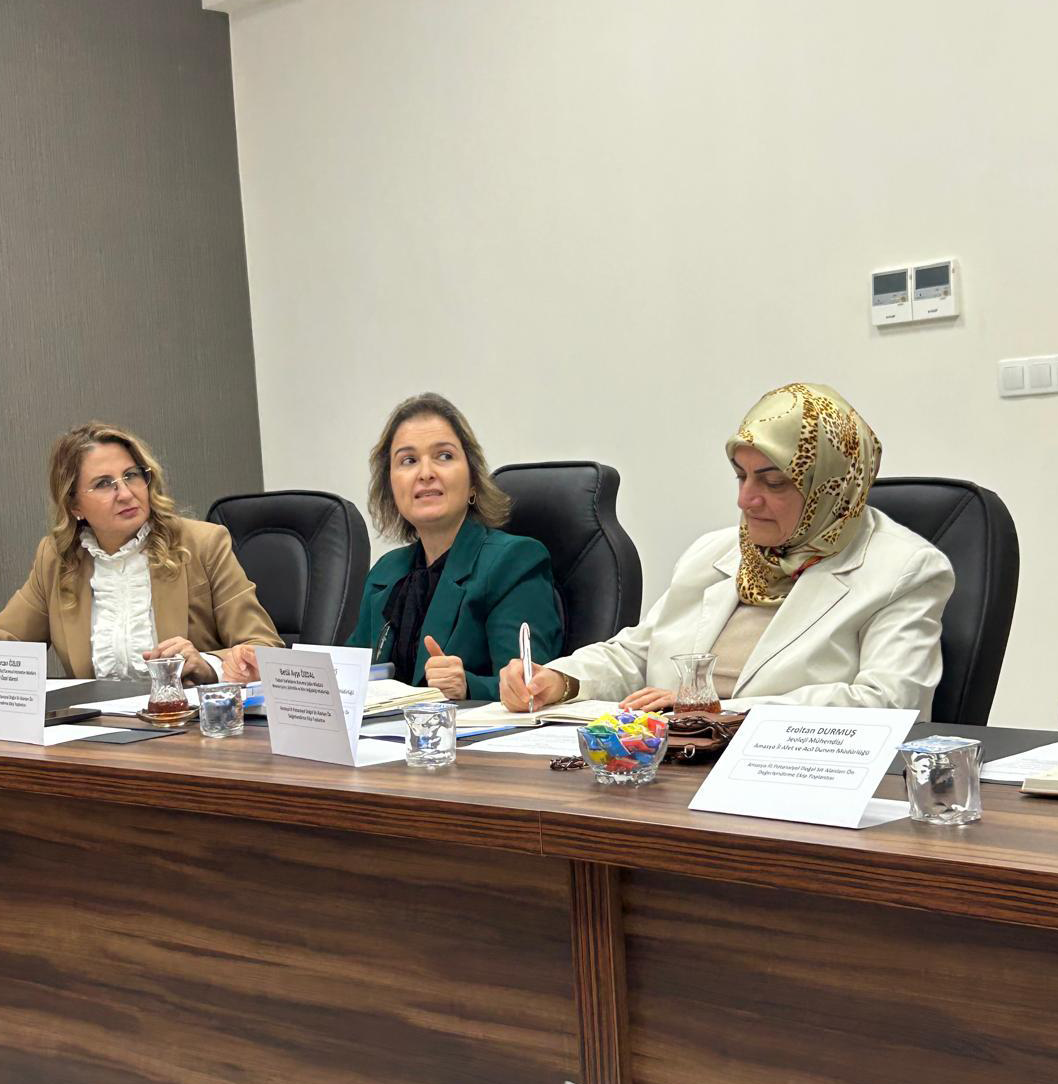 Amasya Potansiyel Sit Alanları Değerlendirme Ekibi, Derinöz Kanyonu İçin Toplandı