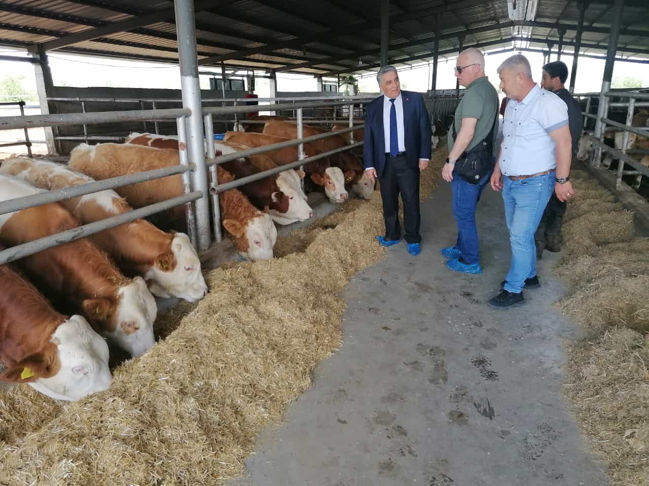 Asbir Hayvancılık Tesislerinde Çevre Denetimi Yapıldı.