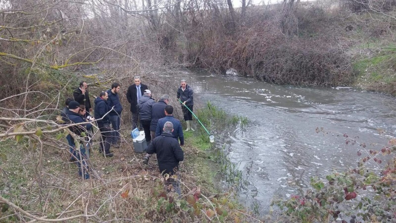 Balık Ölümleri Sonucu Çad Deresinde Birleşik Denetimlerimiz.