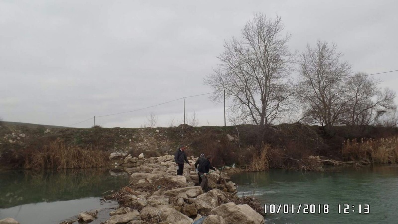 Balık Ölümleri Sonucu Çad Deresinde Birleşik Denetimlerimiz.