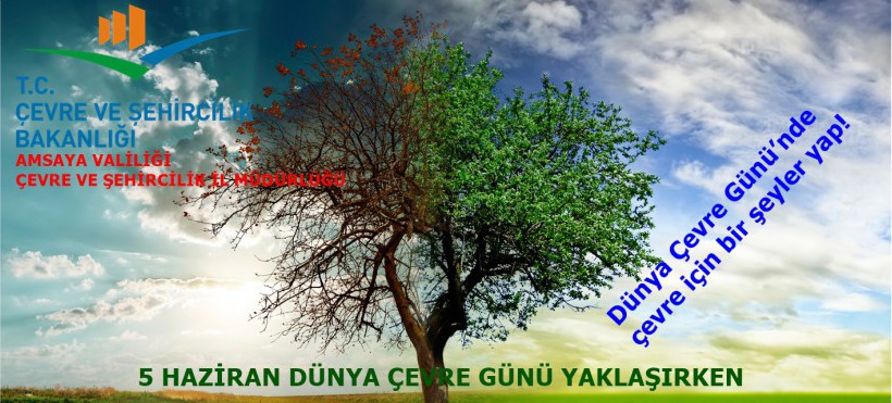 Dünya Çevre Günü Ne Zaman Ve Neden Kutlanır?