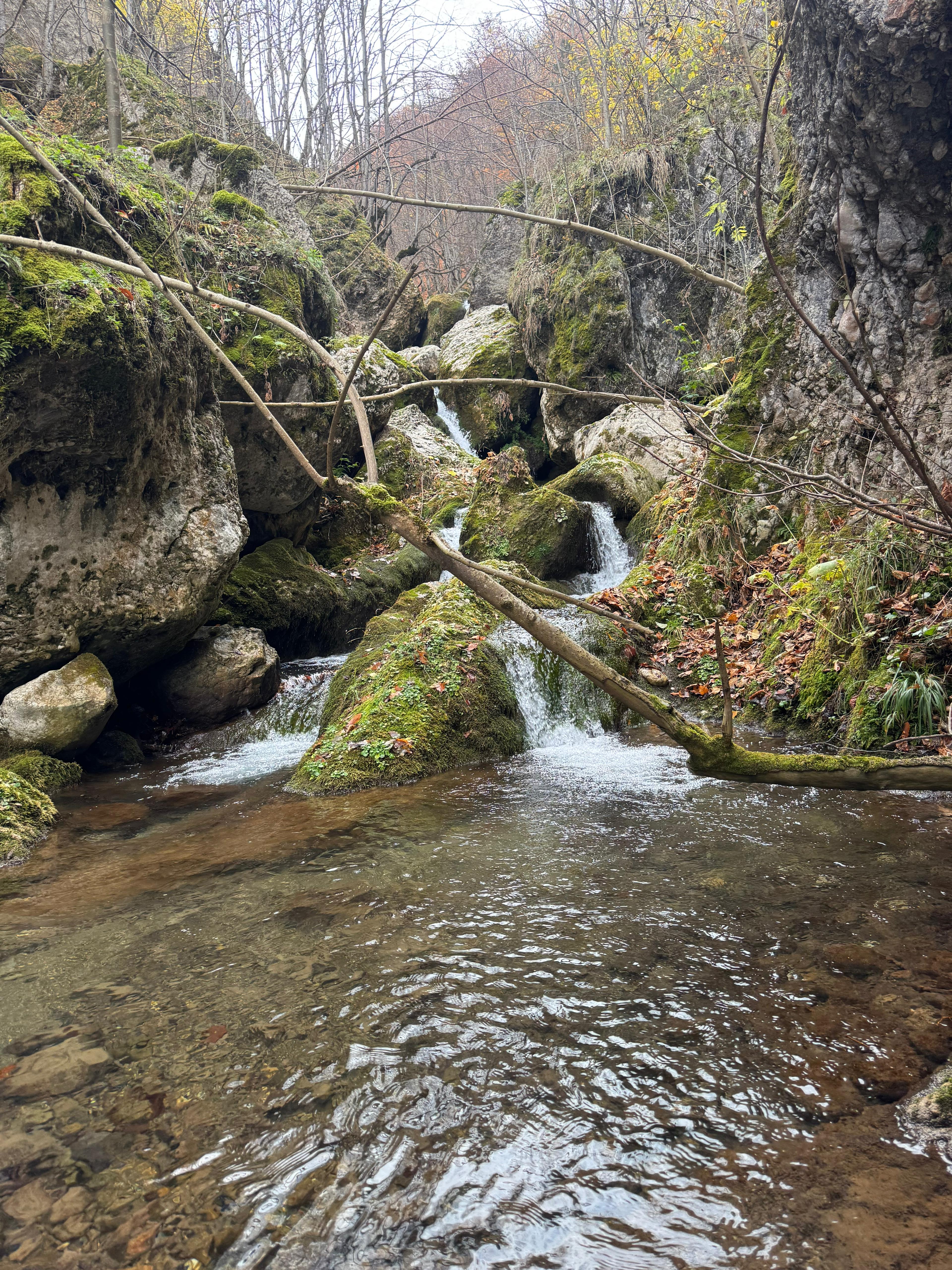 İl Müdürümüz Tescile Öneri Alanlarını Sahada İnceledi.