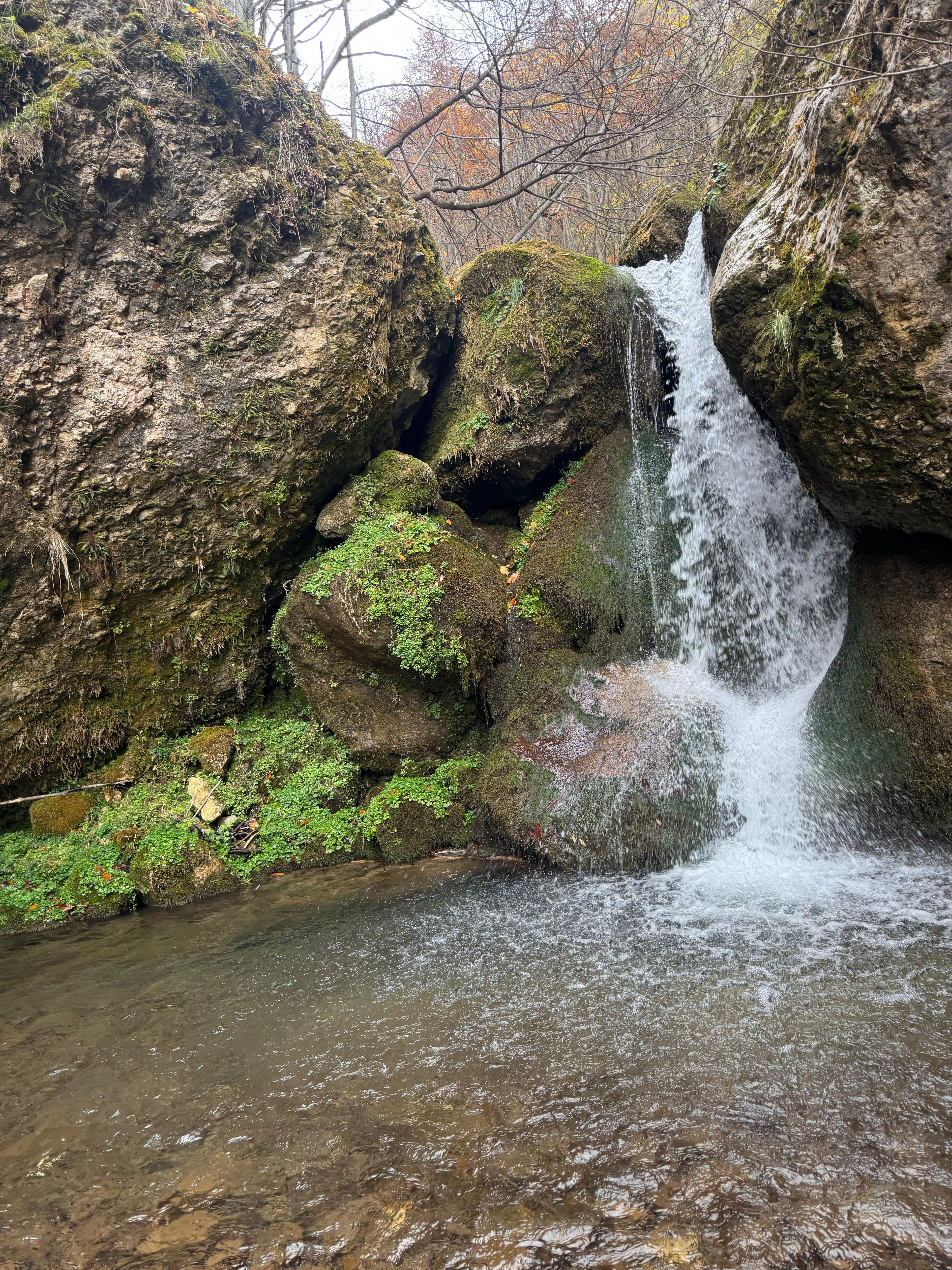 İl Müdürümüz Tescile Öneri Alanlarını Sahada İnceledi.