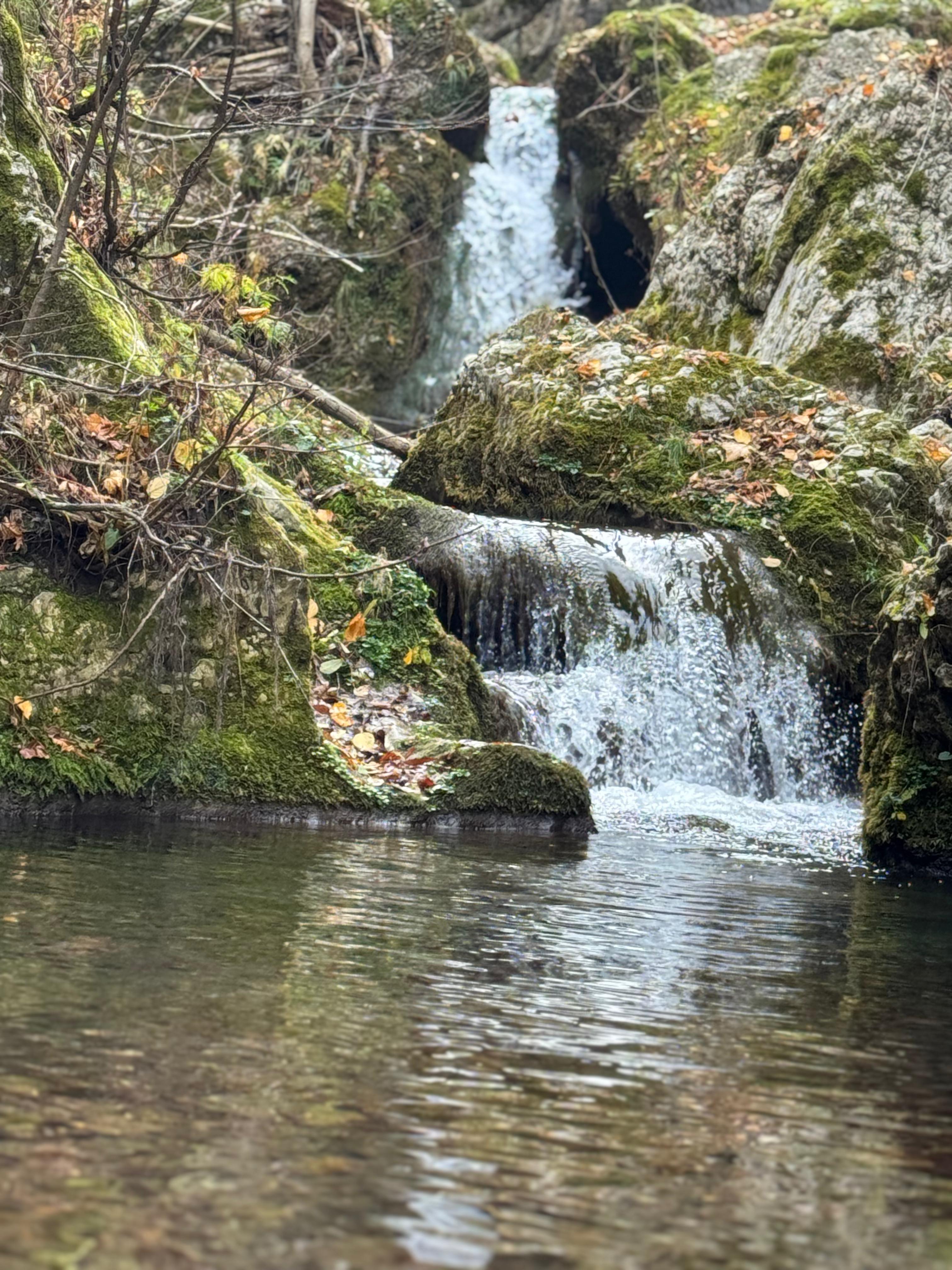 İl Müdürümüz Tescile Öneri Alanlarını Sahada İnceledi.