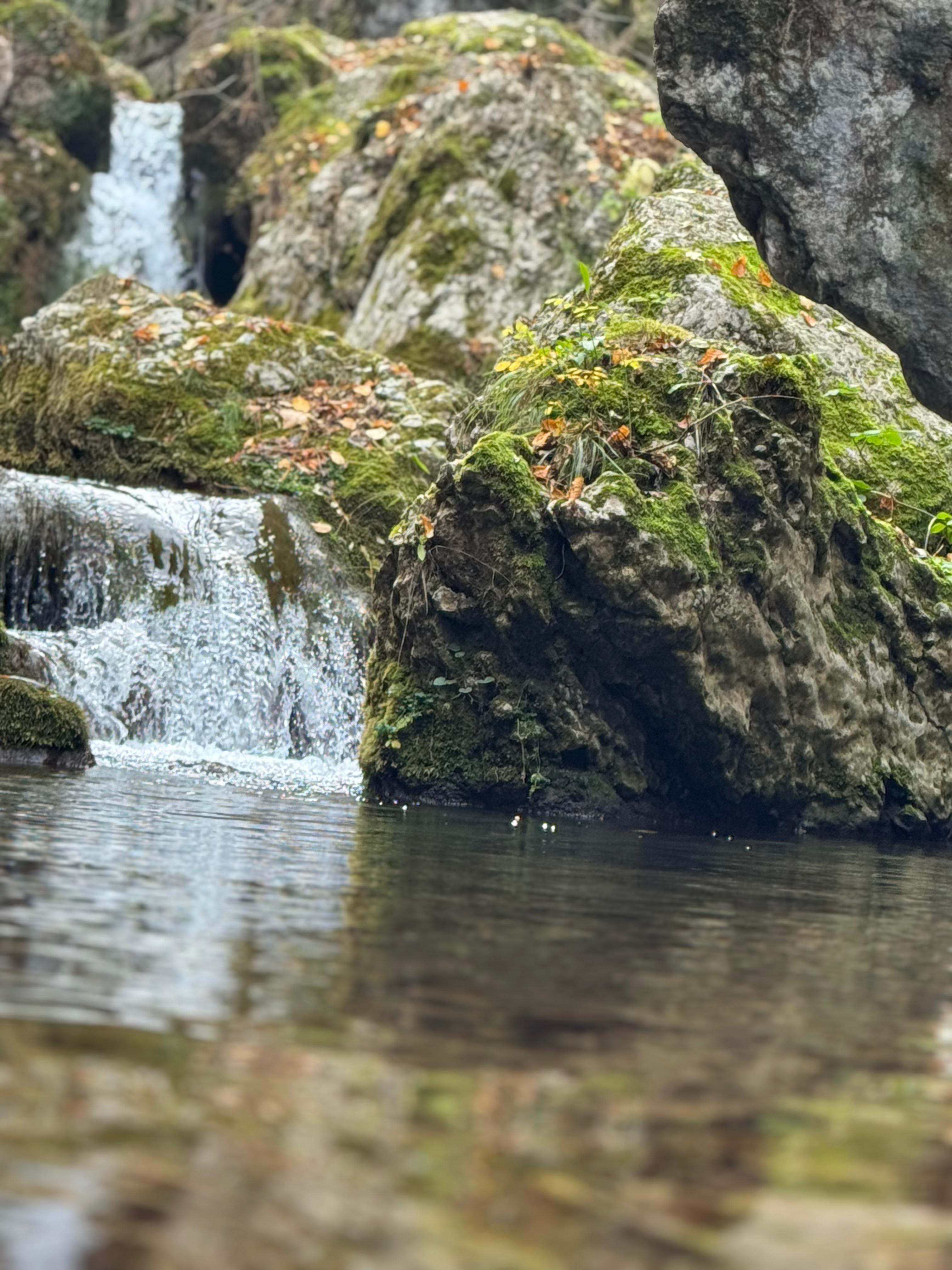 İl Müdürümüz Tescile Öneri Alanlarını Sahada İnceledi.