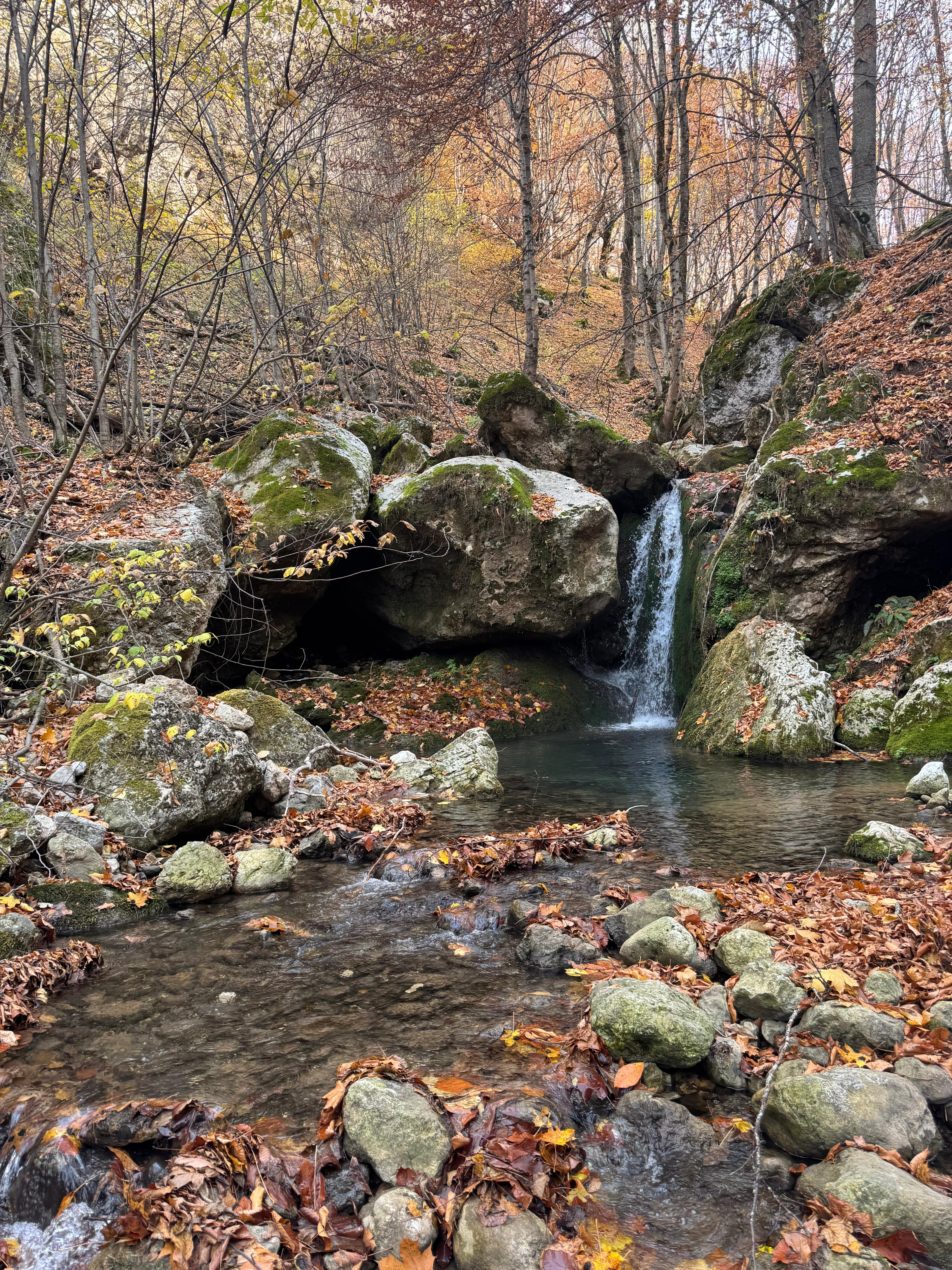 İl Müdürümüz Tescile Öneri Alanlarını Sahada İnceledi.