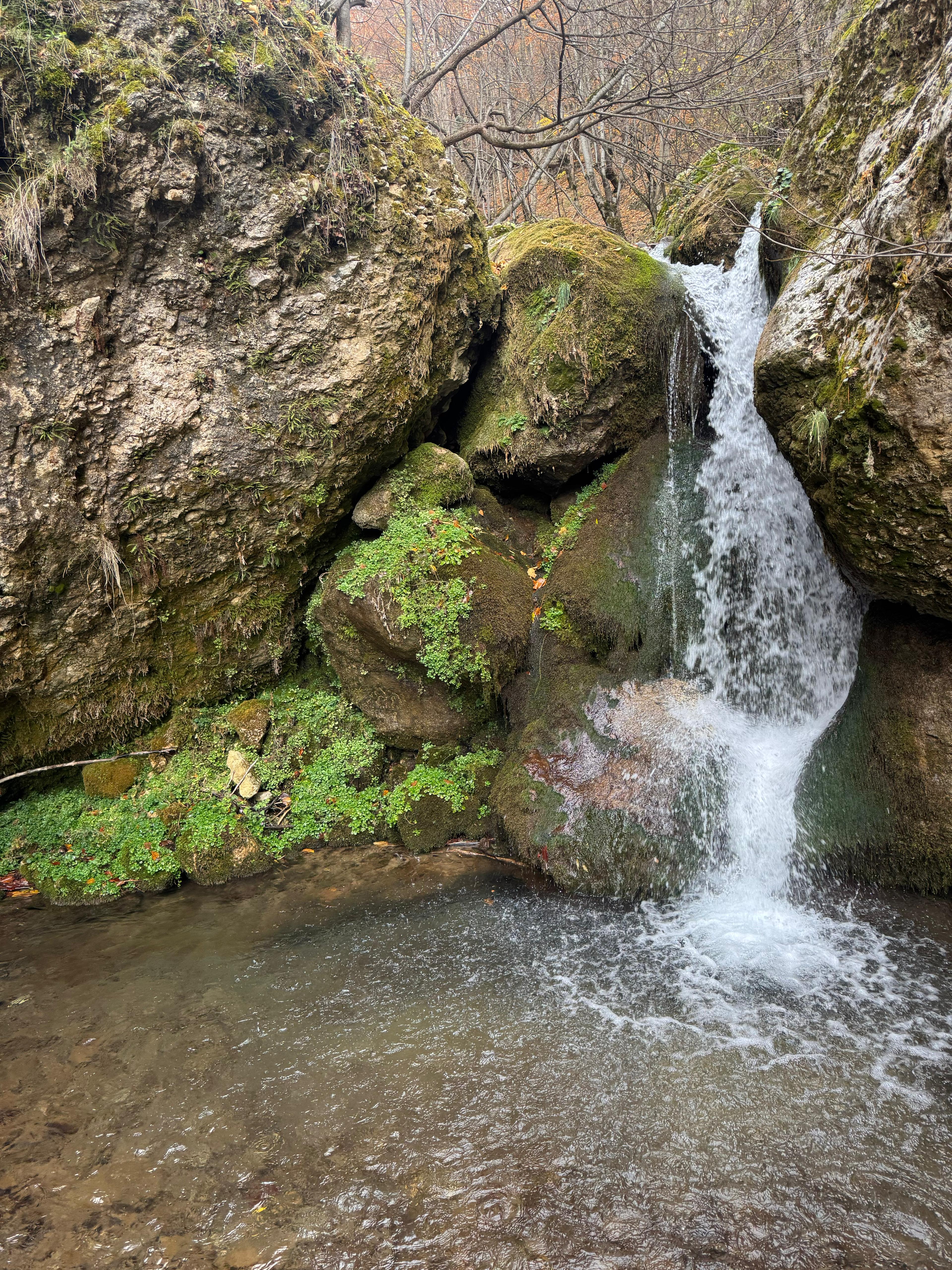 İl Müdürümüz Tescile Öneri Alanlarını Sahada İnceledi.