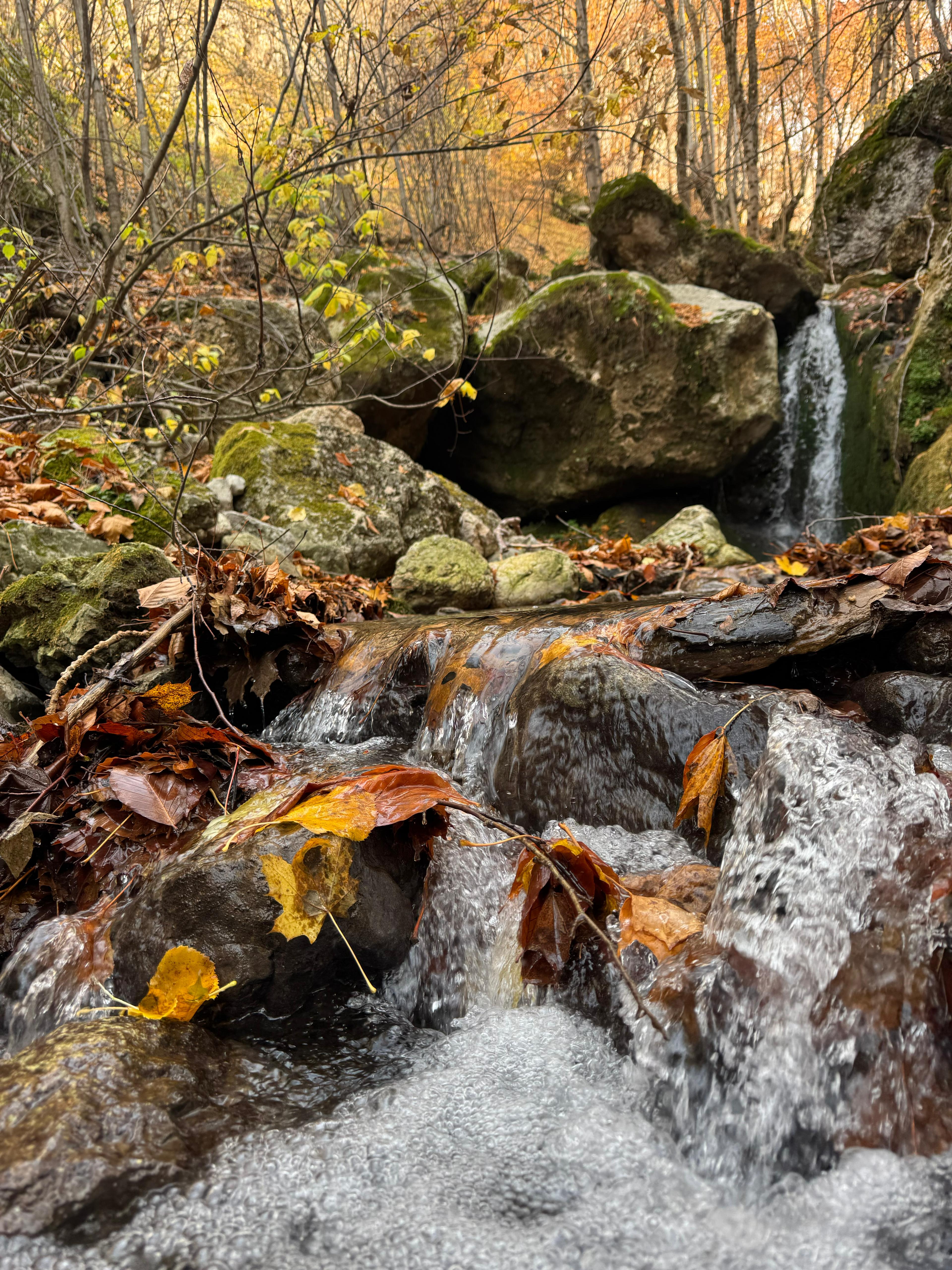 İl Müdürümüz Tescile Öneri Alanlarını Sahada İnceledi.