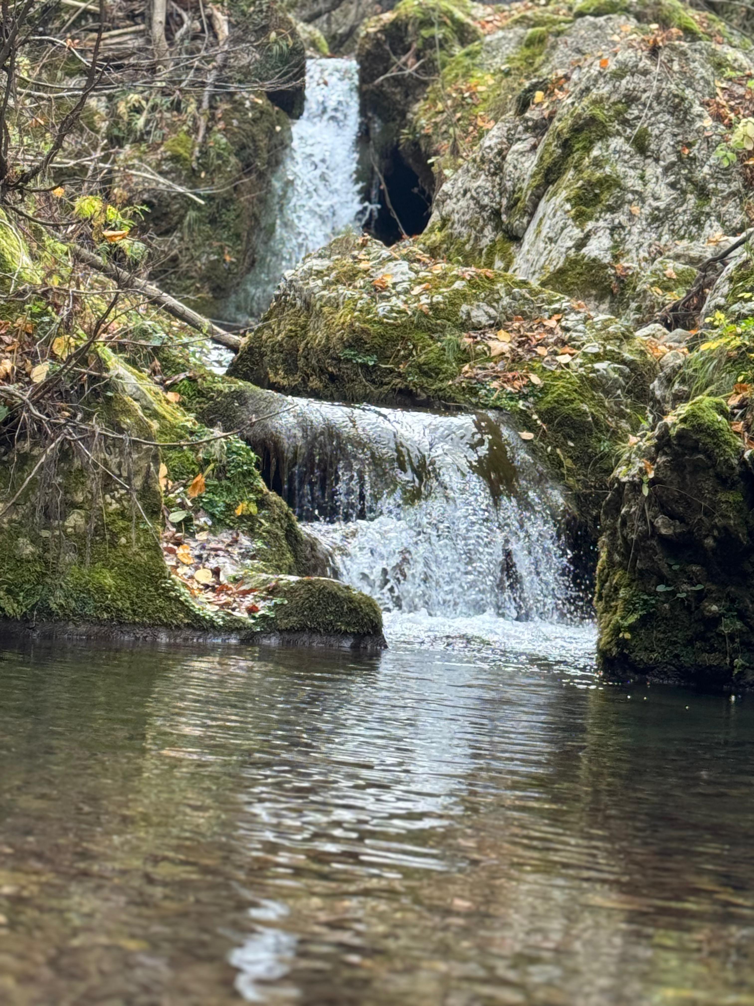 İl Müdürümüz Tescile Öneri Alanlarını Sahada İnceledi.