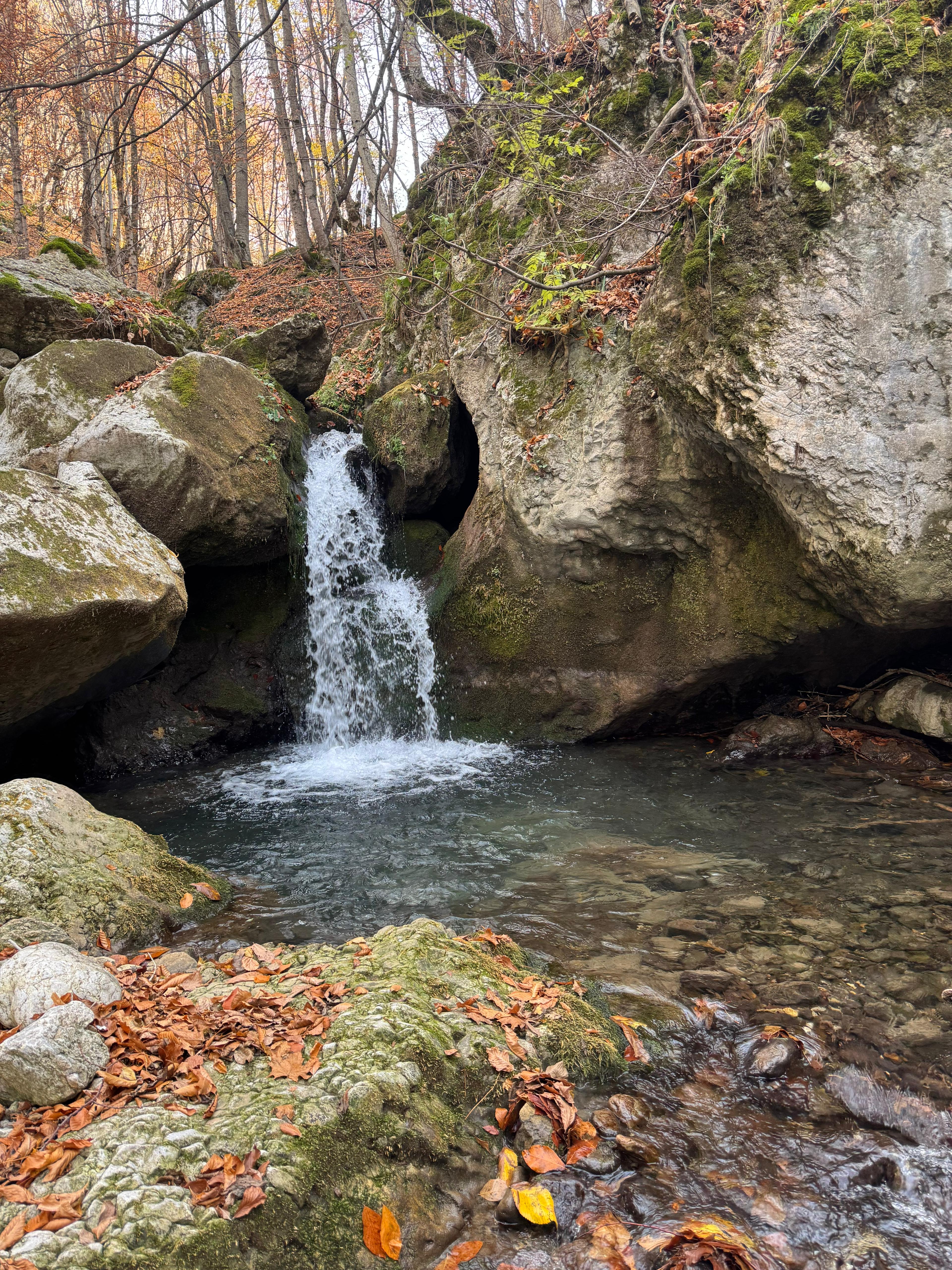 İl Müdürümüz Tescile Öneri Alanlarını Sahada İnceledi.