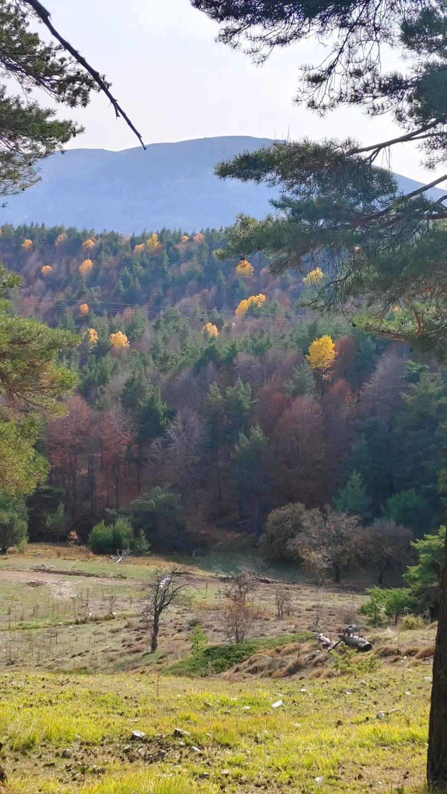 İl Müdürümüz Tescile Öneri Alanlarını Sahada İnceledi.