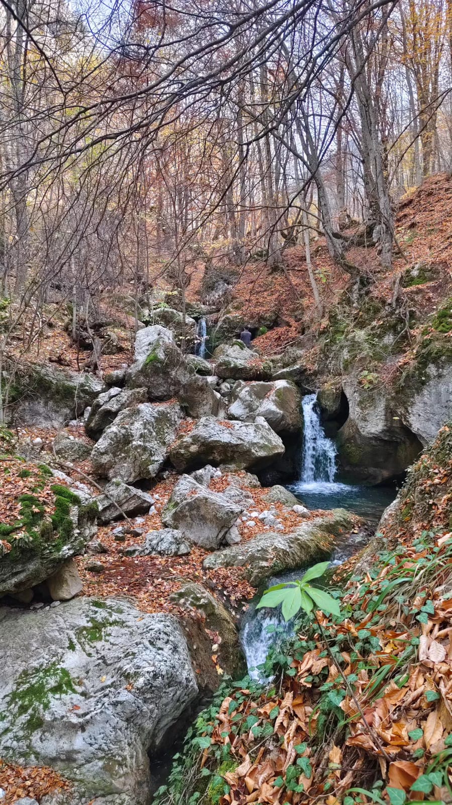 İl Müdürümüz Tescile Öneri Alanlarını Sahada İnceledi.