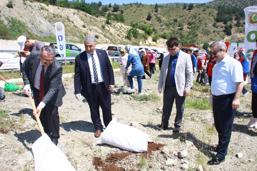 Türkiye Çevre Haftası “Orman Fidan Bakımı”