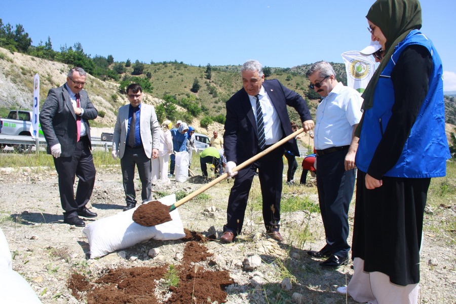 Türkiye Çevre Haftası “Orman Fidan Bakımı”