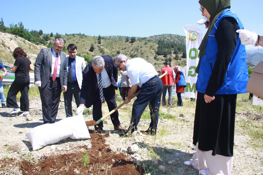 Türkiye Çevre Haftası “Orman Fidan Bakımı”