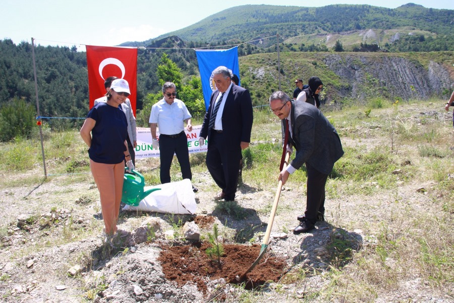 Türkiye Çevre Haftası “Orman Fidan Bakımı”