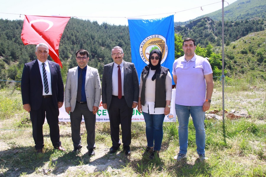 Türkiye Çevre Haftası “Orman Fidan Bakımı”