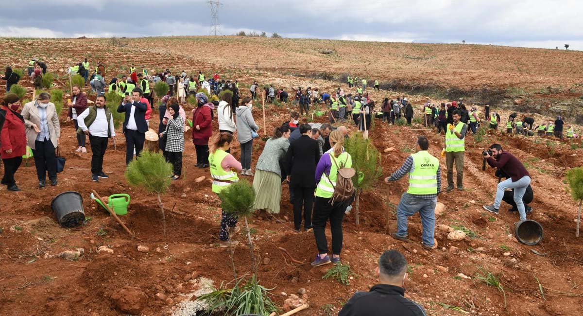 Dünya Kadınlar Günü’nde 10 Bin Fidan Toprakla Buluşturuldu.