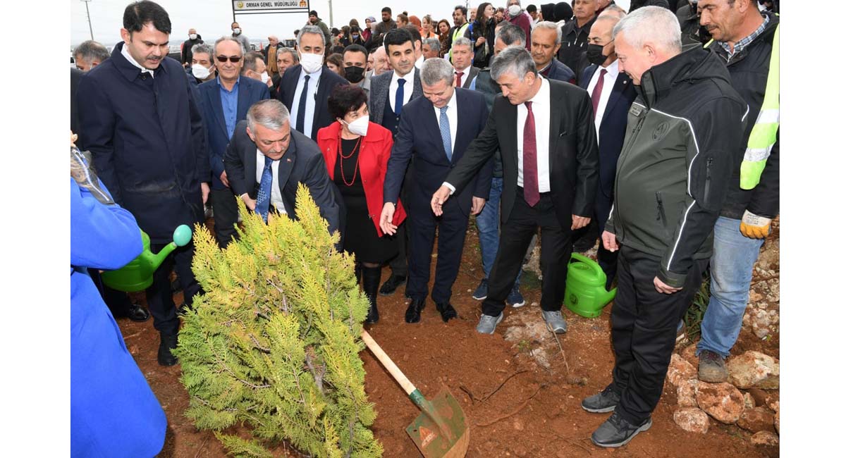 Dünya Kadınlar Günü’nde 10 Bin Fidan Toprakla Buluşturuldu.