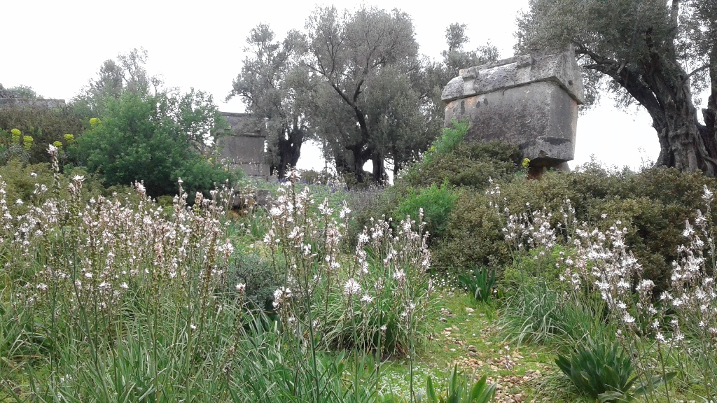 Kaş-Kekova Biyolojik Çeşitlilik Araştırma Proje Çalışması