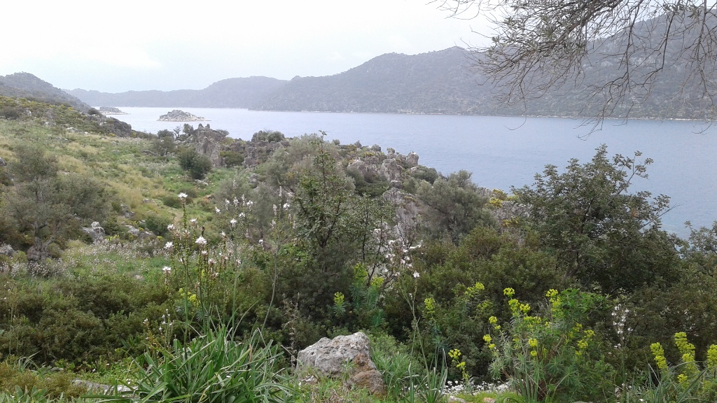 Kaş-Kekova Biyolojik Çeşitlilik Araştırma Proje Çalışması